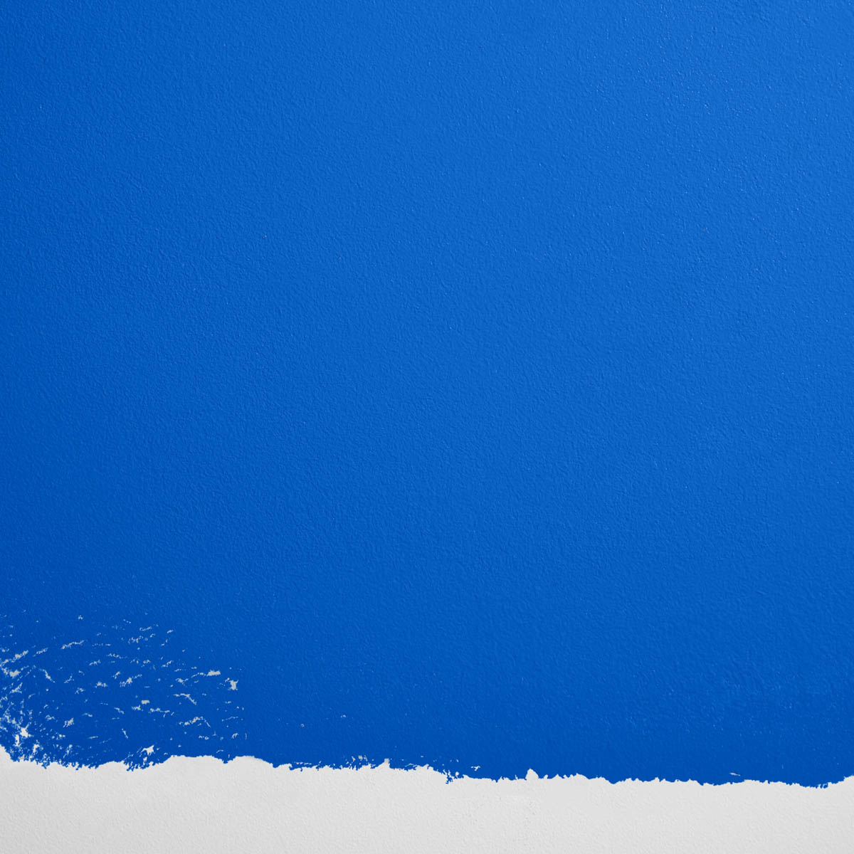 BLUE IS THE COOLEST COLOR_dry
